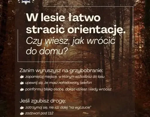 76-latka zgubiła się w lesie podczas grzybobrania. Odnalazł ją policyjny śmigłowiec