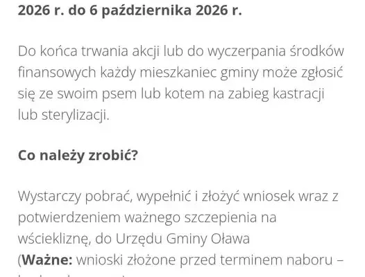 Gmina Oława finansuje sterylizację i kastrację psów i kotów – nabór wniosków trwa